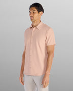 Light-Mauve